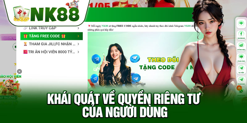 Khái Quát Về Quyền Riêng Tư Của Người Dùng